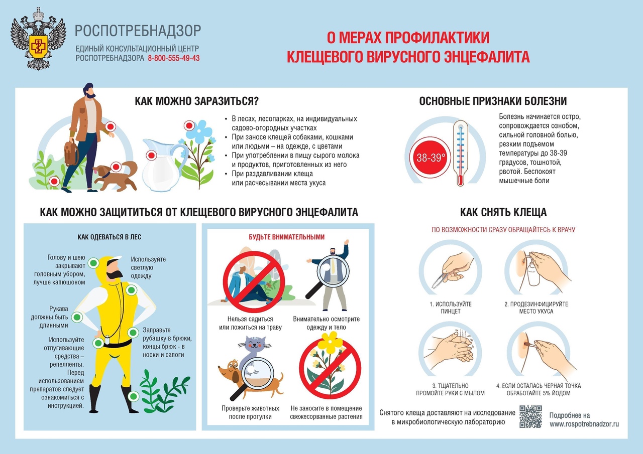 Открывается «горячая линия» по профилактике клещевого энцефалита