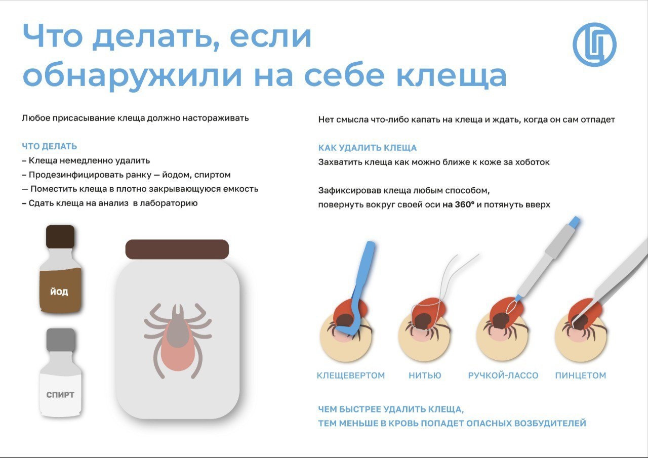 You can contact the thematic hotline with questions about the prevention of tick-borne encephalitis and tick-borne infections